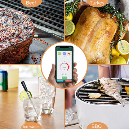 BlueTooth Cooking Thermometer